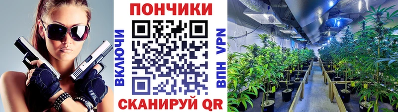 Какие есть наркотики Бор Марихуана КОКАИН А ПВП Гашиш
