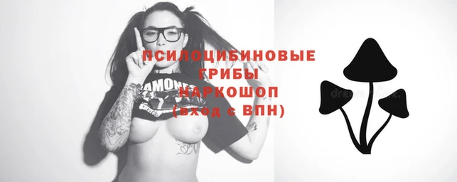 PSILOCYBIN Богданович