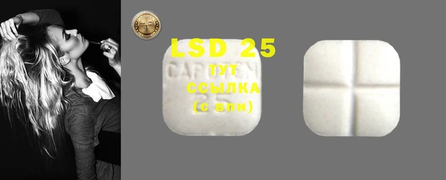 PSILOCYBIN Богданович