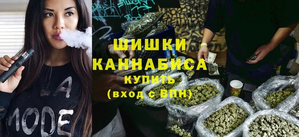PSILOCYBIN Богданович