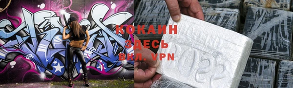 PSILOCYBIN Богданович