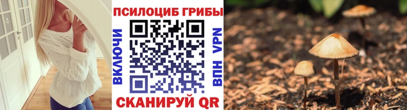 Галлюциногенные грибы Cubensis Бор